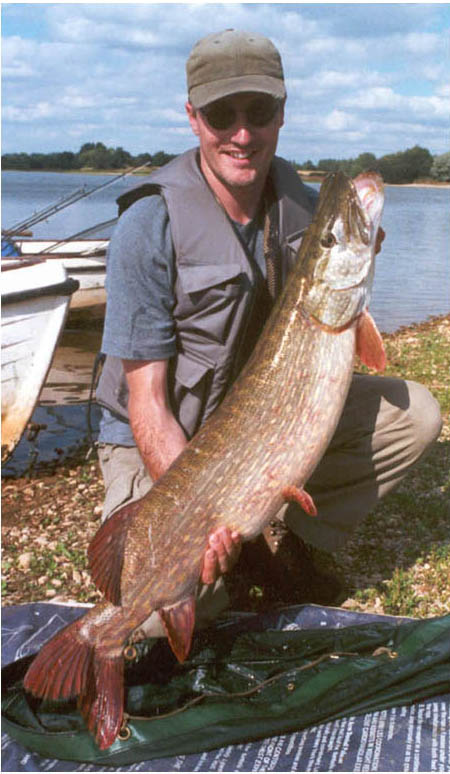 23lb pike