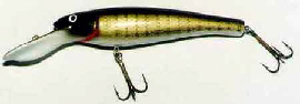 Muskie Mania Ernie